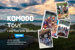 1 day komodo tour